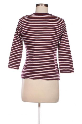 Дамска блуза Kate Storm, Размер M, Цвят Лилав, Цена 11,90 лв.