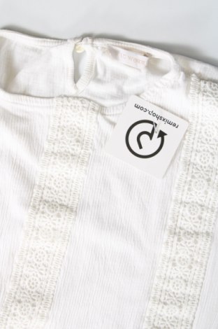 Γυναικεία μπλούζα LC Waikiki, Μέγεθος S, Χρώμα Λευκό, Τιμή 11,37 €