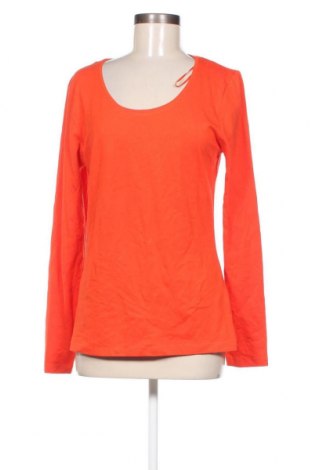 Γυναικεία μπλούζα Laura T., Μέγεθος XL, Χρώμα Πορτοκαλί, Τιμή 6,46 €