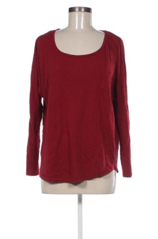 Damen Shirt Maison Scotch, Größe S, Farbe Rot, Preis € 7,98