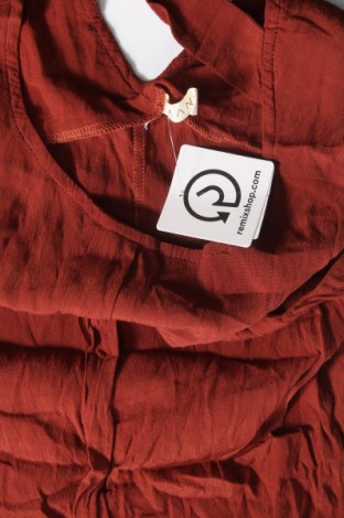 Damen Shirt Manda, Größe S, Farbe Braun, Preis € 6,68