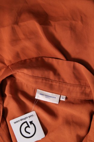 Damen Shirt ONLY Carmakoma, Größe 3XL, Farbe Braun, Preis € 13,22