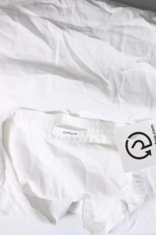 Damen Shirt Opus, Größe XL, Farbe Weiß, Preis € 15,03