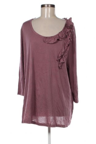 Γυναικεία μπλούζα Peter Hahn, Μέγεθος 4XL, Χρώμα Ρόζ , Τιμή 19,30 €
