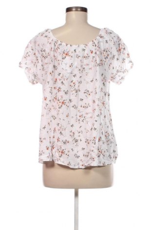Γυναικεία μπλούζα Please, Μέγεθος M, Χρώμα Πολύχρωμο, Τιμή 17,00 €