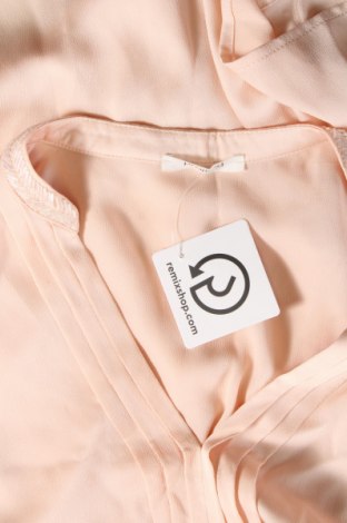 Damen Shirt Promod, Größe M, Farbe Rosa, Preis 9,91 €