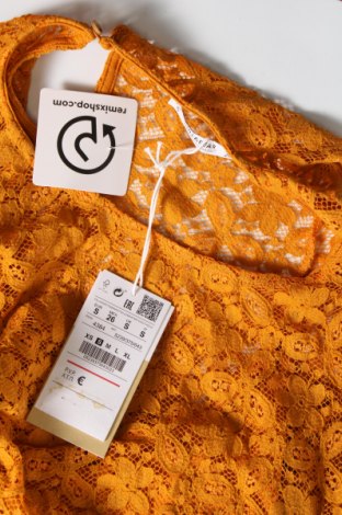 Damen Shirt Pull&Bear, Größe S, Farbe Orange, Preis 9,60 €