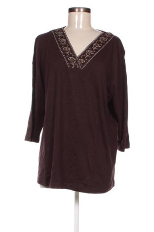 Γυναικεία μπλούζα Pure Wear, Μέγεθος XXL, Χρώμα Καφέ, Τιμή 19,79 €