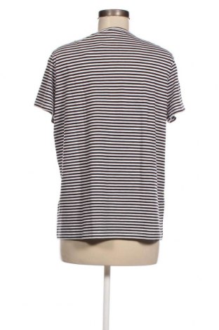 Γυναικεία μπλούζα Q/S by S.Oliver, Μέγεθος XXL, Χρώμα Πολύχρωμο, Τιμή 10,18 €