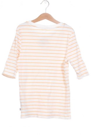 Γυναικεία μπλούζα Q/S by S.Oliver, Μέγεθος XS, Χρώμα Πολύχρωμο, Τιμή 10,54 €