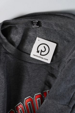 Damen Shirt SHEIN, Größe 4XL, Farbe Grau, Preis € 5,95