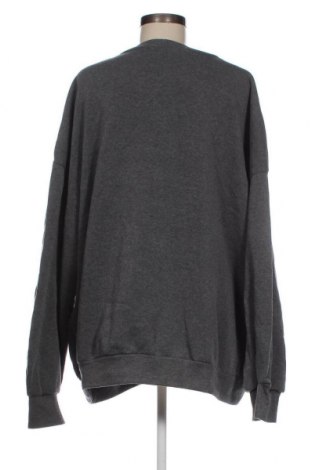 Damen Shirt SHEIN, Größe 4XL, Farbe Grau, Preis € 5,95