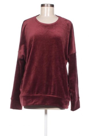 Damen Shirt Schiesser, Größe XL, Farbe Rot, Preis € 11,83