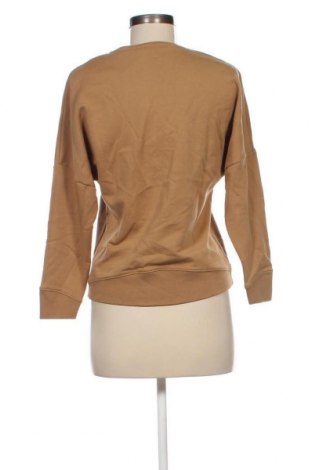 Γυναικεία μπλούζα Sessun, Μέγεθος XS, Χρώμα  Μπέζ, Τιμή 23,20 €