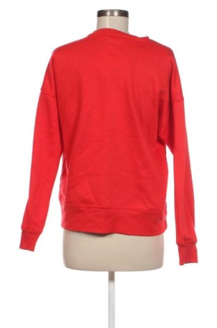 Damen Shirt Sinsay, Größe M, Farbe Rot, Preis 4,99 €