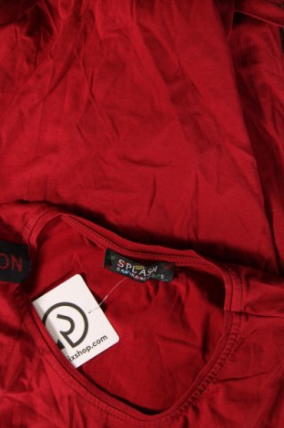 Γυναικεία μπλούζα Splash, Μέγεθος S, Χρώμα Κόκκινο, Τιμή 10,99 €