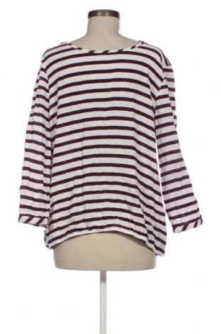 Γυναικεία μπλούζα Street One, Μέγεθος L, Χρώμα Πολύχρωμο, Τιμή 7,36 €