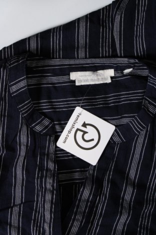 Damen Shirt Tom Tailor, Größe L, Farbe Blau, Preis € 9,46