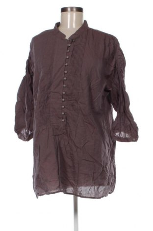 Damen Shirt Van Laack, Größe XL, Farbe Braun, Preis 26,10 €