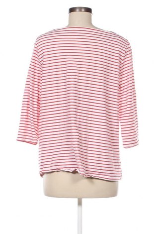 Damen Shirt Woman By Tchibo, Größe XL, Farbe Mehrfarbig, Preis 7,27 €