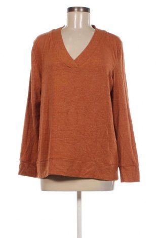Damen Shirt Zabaione, Größe XXL, Farbe Braun, Preis € 10,65