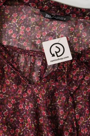 Damen Shirt Zara, Größe M, Farbe Mehrfarbig, Preis 7,87 €
