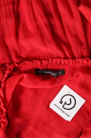 Damen Shirt Zara, Größe M, Farbe Rot, Preis 6,58 €