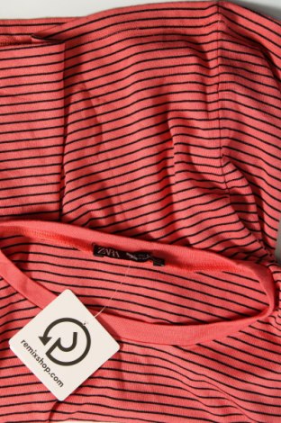 Damen Shirt Zara, Größe L, Farbe Rosa, Preis 7,24 €