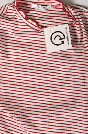 Damen Shirt Zara Trafaluc, Größe S, Farbe Mehrfarbig, Preis 5,70 €