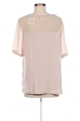 Γυναικεία μπλούζα Zucchero, Μέγεθος L, Χρώμα  Μπέζ, Τιμή 7,88 €