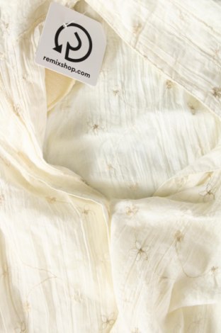 Γυναικείο πουκάμισο, Μέγεθος XL, Χρώμα Εκρού, Τιμή 6,91 €