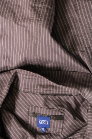 Dámská košile  Cecil, Velikost XL, Barva Hnědá, Cena  244,00 Kč