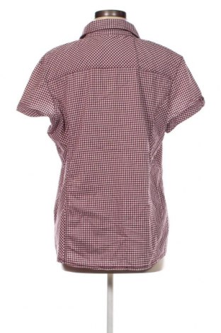 Dámska košeľa  Cecil, Veľkosť XL, Farba Viacfarebná, Cena  17,00 €