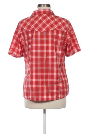 Γυναικείο πουκάμισο Collection L, Μέγεθος L, Χρώμα Πολύχρωμο, Τιμή 8,35 €