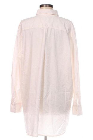 Γυναικείο πουκάμισο Emily Van den Bergh, Μέγεθος XXL, Χρώμα Ρόζ , Τιμή 27,74 €
