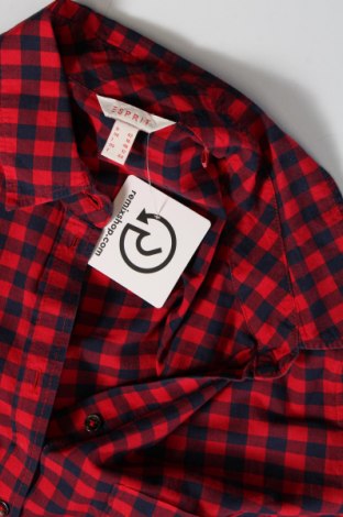 Dámska košeľa  Esprit, Veľkosť L, Farba Viacfarebná, Cena  8,68 €