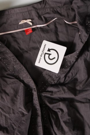 Γυναικείο πουκάμισο Esprit, Μέγεθος M, Χρώμα Γκρί, Τιμή 14,99 €