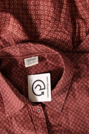 Dámska košeľa  Esprit, Veľkosť M, Farba Hnedá, Cena  8,87 €