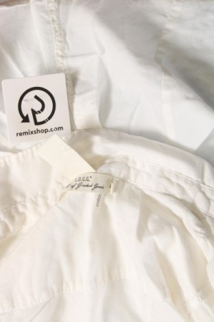 Γυναικείο πουκάμισο H&M L.O.G.G., Μέγεθος S, Χρώμα Λευκό, Τιμή 6,91 €