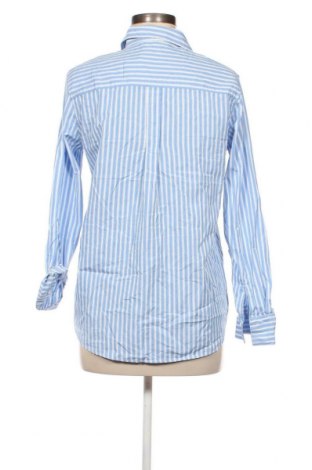 Damenbluse Massimo Dutti, Größe M, Farbe Blau, Preis € 33,40