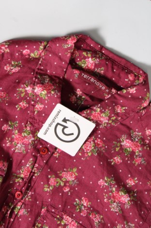 Γυναικείο πουκάμισο Terranova, Μέγεθος M, Χρώμα Πολύχρωμο, Τιμή 7,29 €