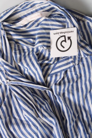 Dámská košile  Zara Trafaluc, Velikost S, Barva Vícebarevné, Cena  151,00 Kč