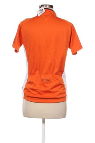 Damen T-Shirt Disegna, Größe L, Farbe Orange, Preis 3,49 €