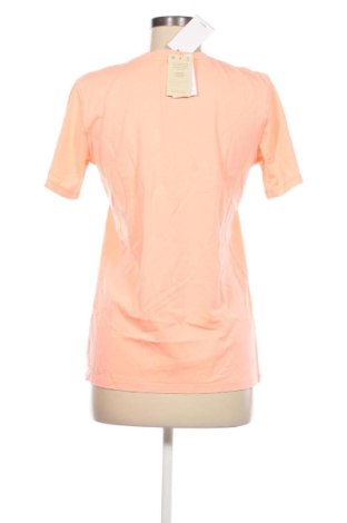 Γυναικείο t-shirt Mango, Μέγεθος XS, Χρώμα Ρόζ , Τιμή 18,56 €