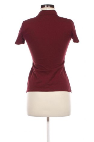 Damen T-Shirt Marc O'Polo, Größe XS, Farbe Rot, Preis € 10,65