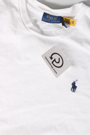 Damen T-Shirt Polo By Ralph Lauren, Größe S, Farbe Weiß, Preis 60,31 €