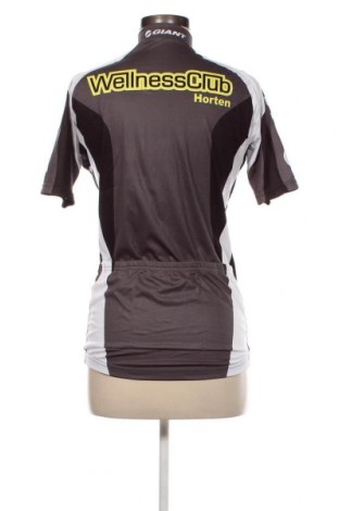 Γυναικείο t-shirt Wellness, Μέγεθος L, Χρώμα Πολύχρωμο, Τιμή 4,66 €