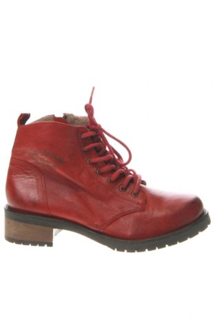 Damen Stiefeletten, Größe 38, Farbe Rot, Preis € 29,85