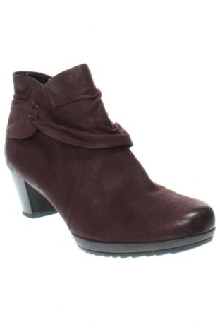 Damen Stiefeletten Gabor, Größe 41, Farbe Rot, Preis 28,70 €