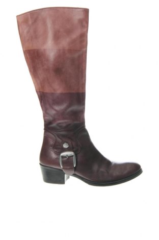 Damenstiefel, Größe 37, Farbe Lila, Preis € 43,88